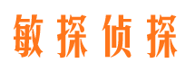 绥棱寻人公司